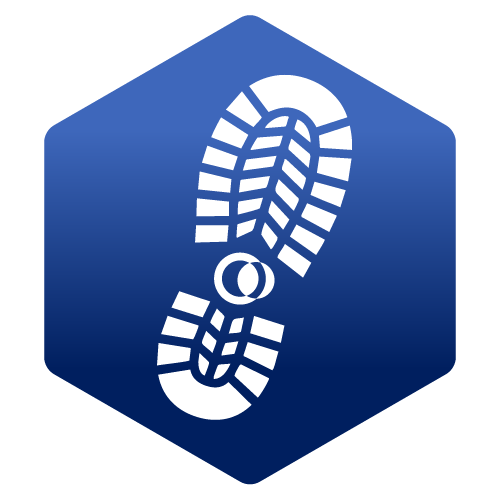 The SA Constellation Bootcamp badge